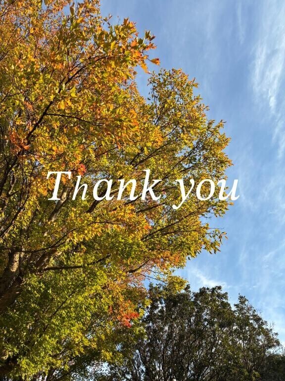 ありがとうございました?