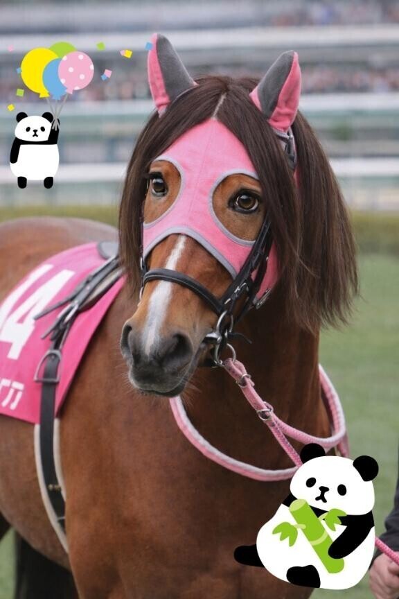 馬になりました