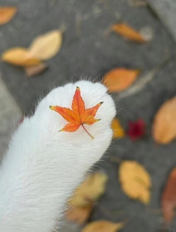 お疲れ様です??