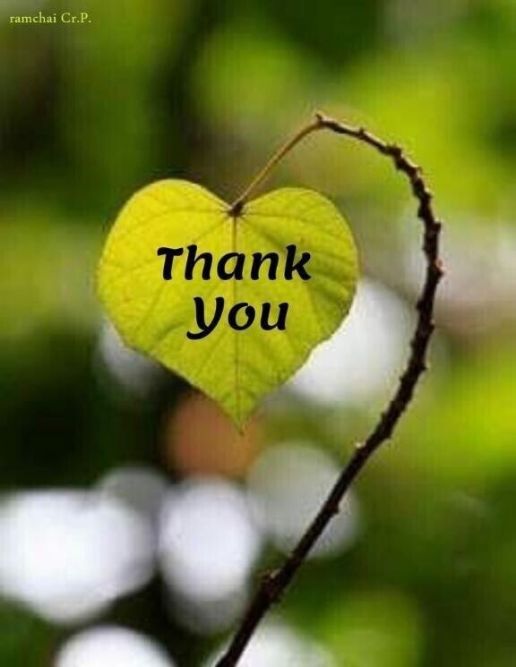 ありがとうございました?