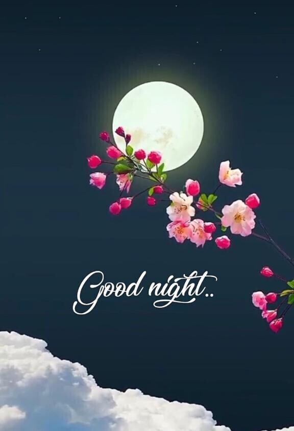 ありがとうございました??