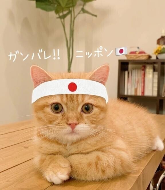 2月も後半ですね