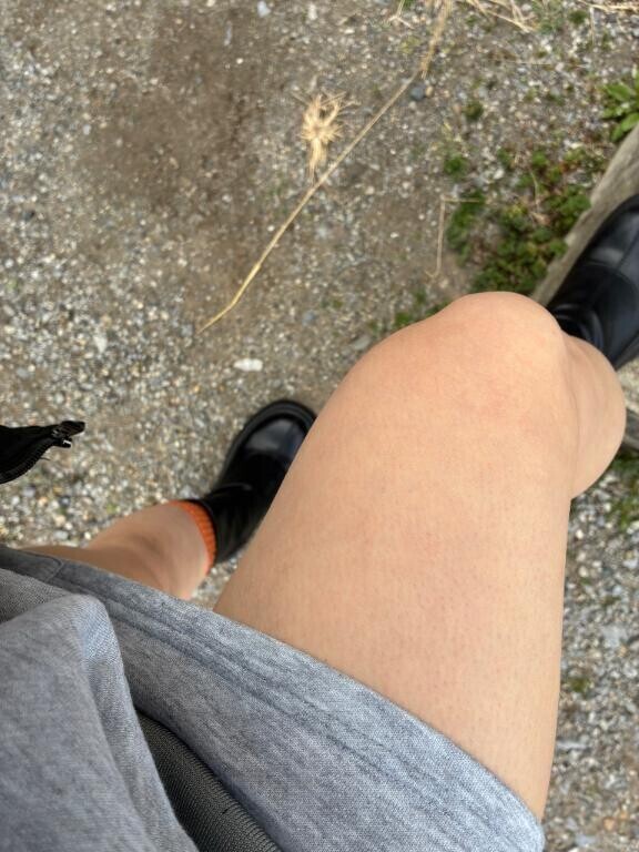 おはようございます??