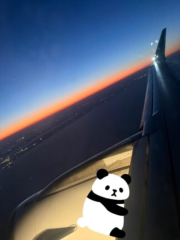 川崎記念