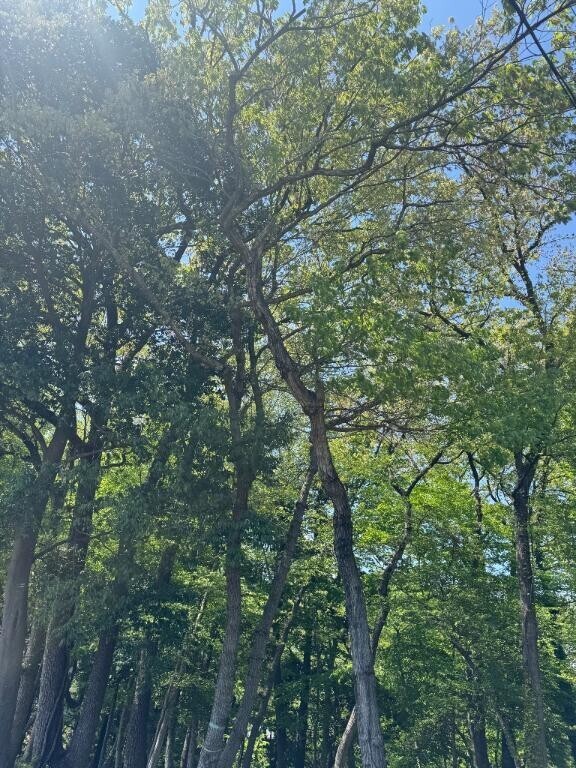 お知らせです