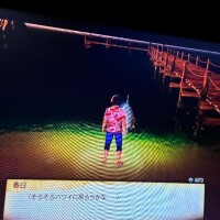 新人りん35歳