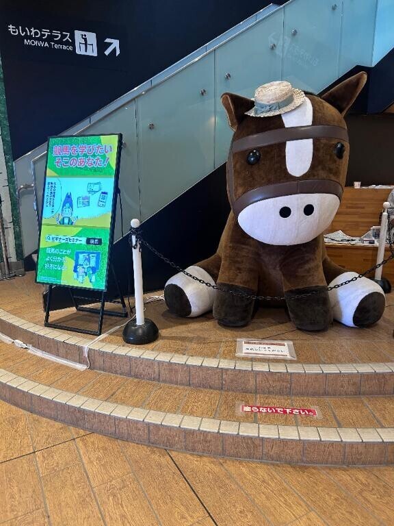 今日は