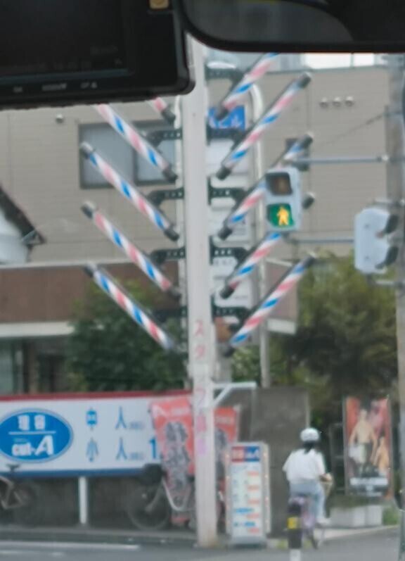 ナニコレ珍百景？