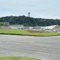 サマータイムソング