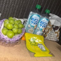 お久しぶりですね?