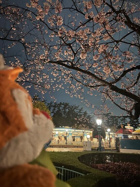 さてさて