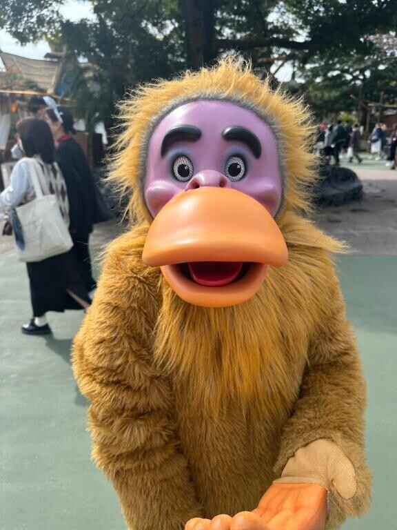 行きます！！