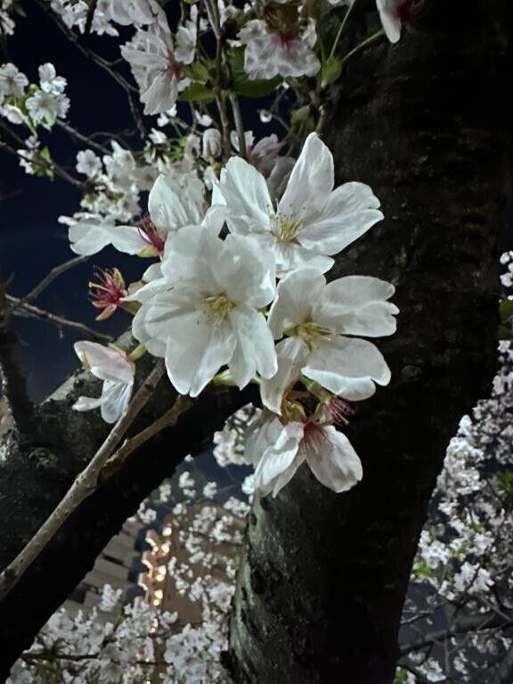 ちょっとしたお願い??