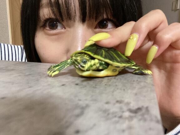 ニョキ！