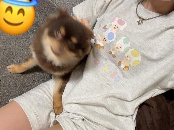 全ての日記について???