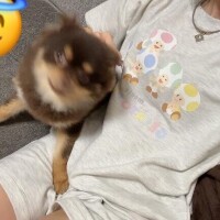 全ての日記について???