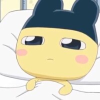 お伝えしたい事