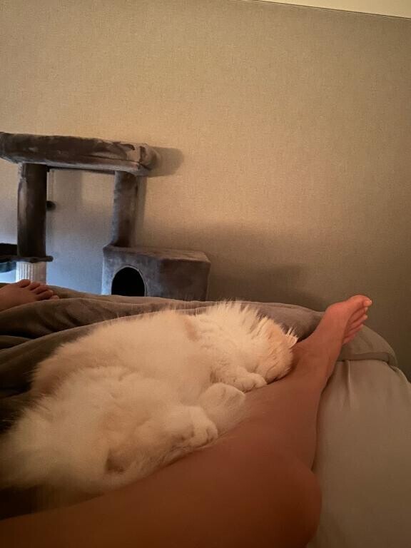 明日からに変更です????