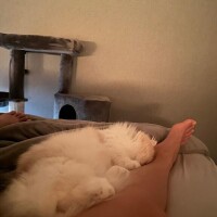 明日からに変更です????