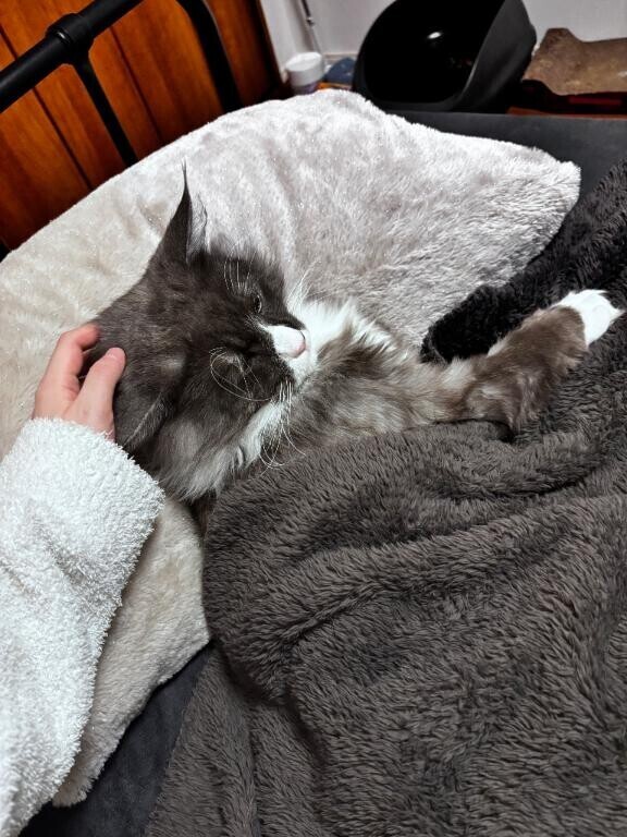 ?猫好きに悪い人はいないとか?