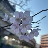 お久しぶりです