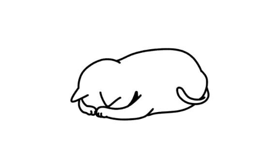 ごめんなさい( ･-･? )