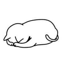 ごめんなさい( ･-･? )
