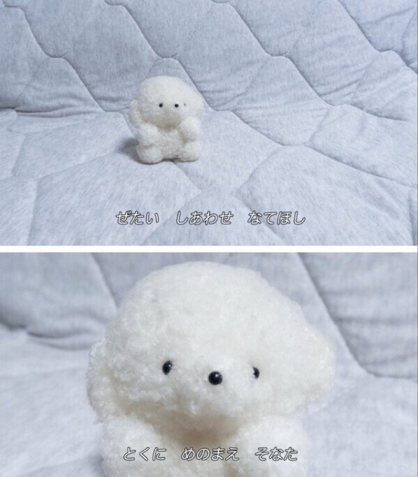 雨すごすぎる…🥺