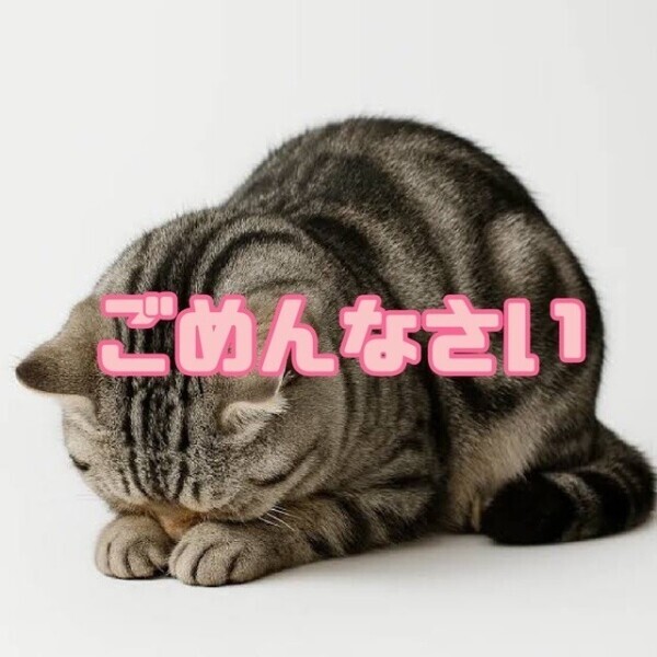 急遽お休みします‪🥲‎