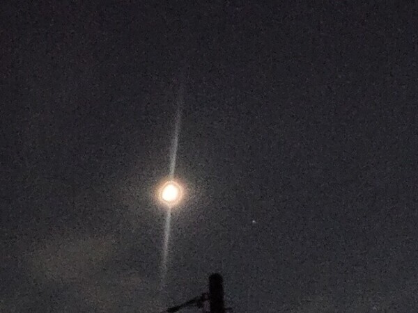 お疲れ様です🐰🌕