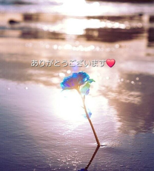 お礼😊ご自宅☘️