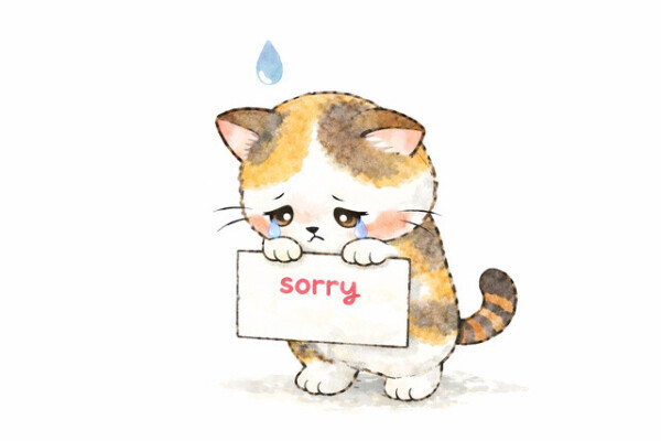 ごめんなさい🙏