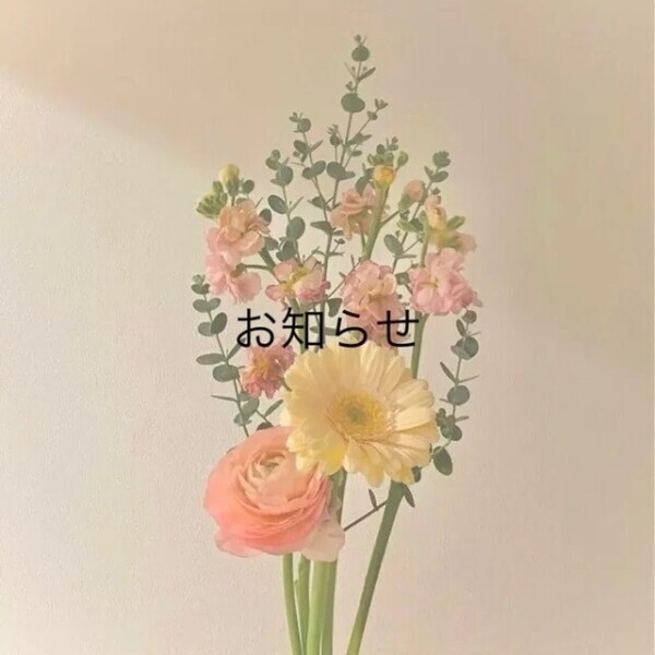 朗報中の朗報ですっ、