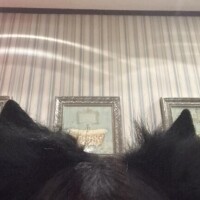 柏木　ゆうか