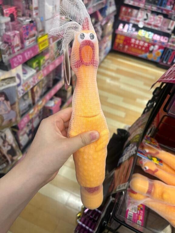 おもしろいデンマみつけた?