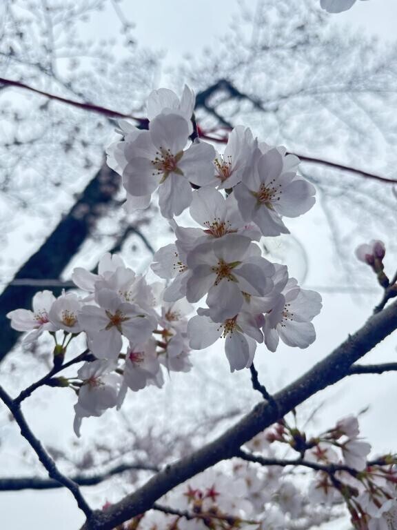 さみしいな～