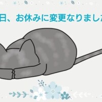 石原　ゆあ