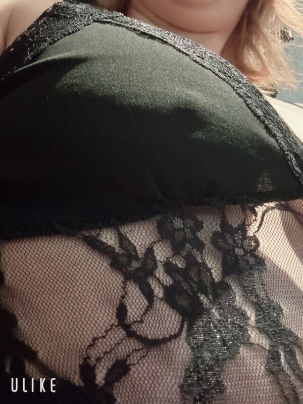 今日も
