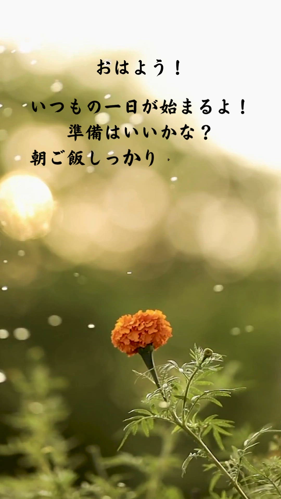 久しぶりのいい天気‬