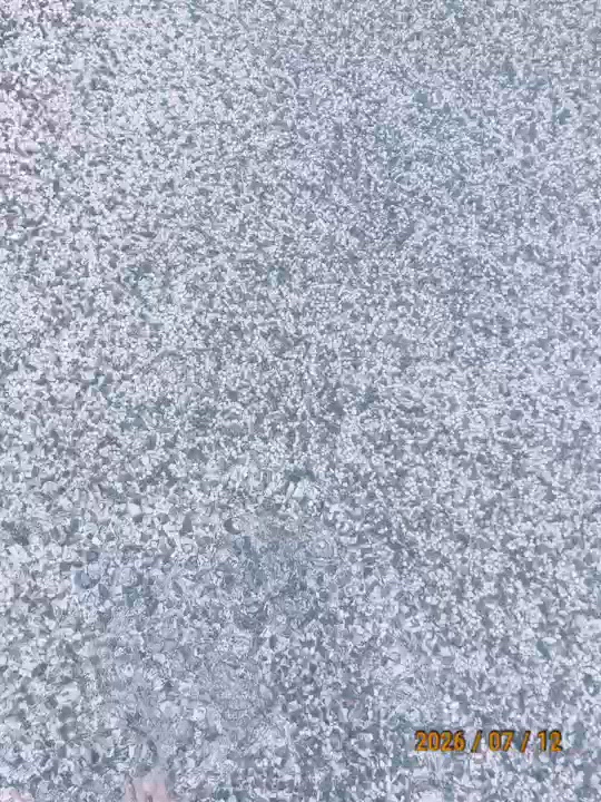 こんにちはー！
