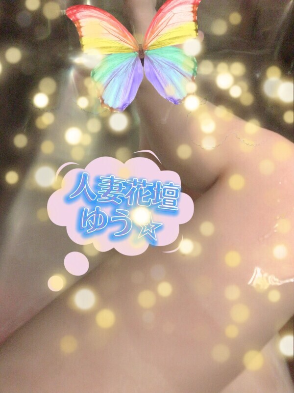 くまだんだんday