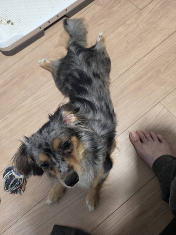 暑くて