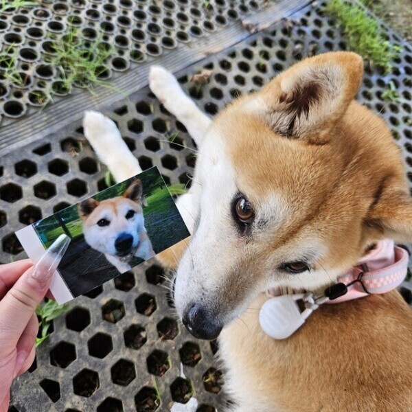 ♡再始動について♡