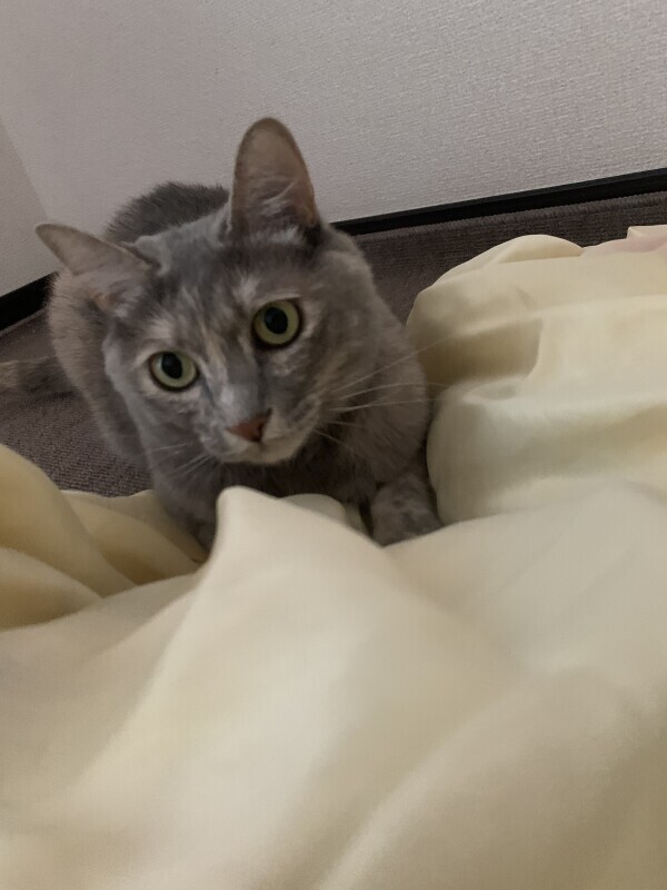 おはよ〜