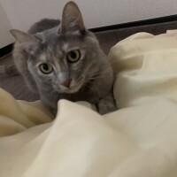 りおな