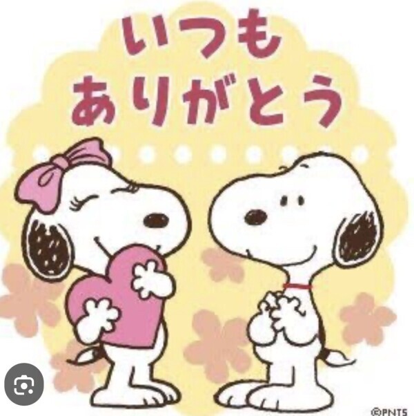24日のお礼です