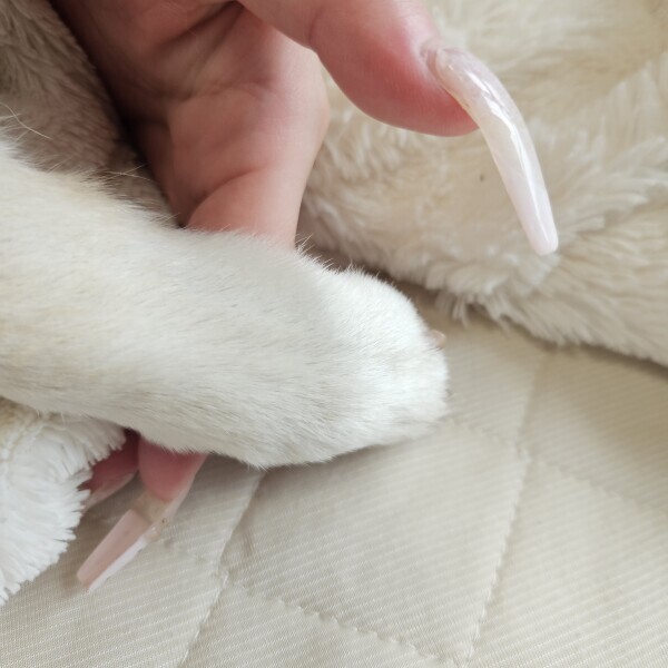 愛おしい君／／……♡