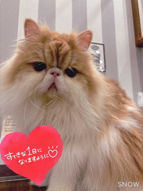 ♡