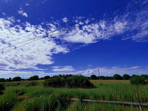 久しぶりの晴れ