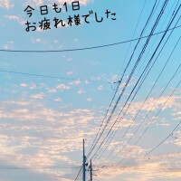 ののか